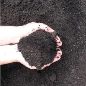 River Sand